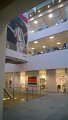 WP_20140219_034