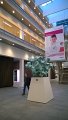 WP_20140219_051