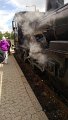 WP_20130630_111